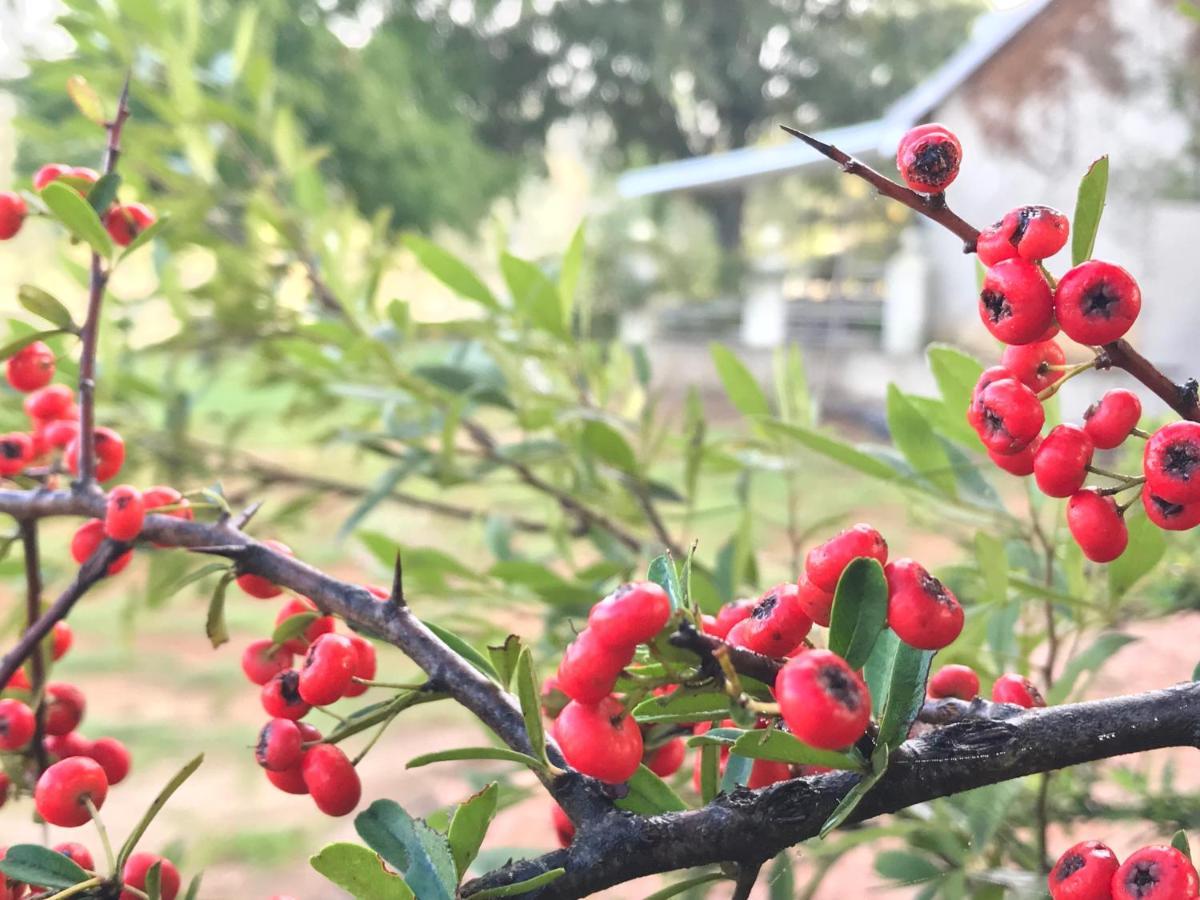 Rose Cottage @ Gods' Haven Eco Estate アンダーバーグ エクステリア 写真